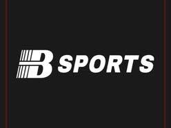 B体育·(中国)官方网站-BSPORTS